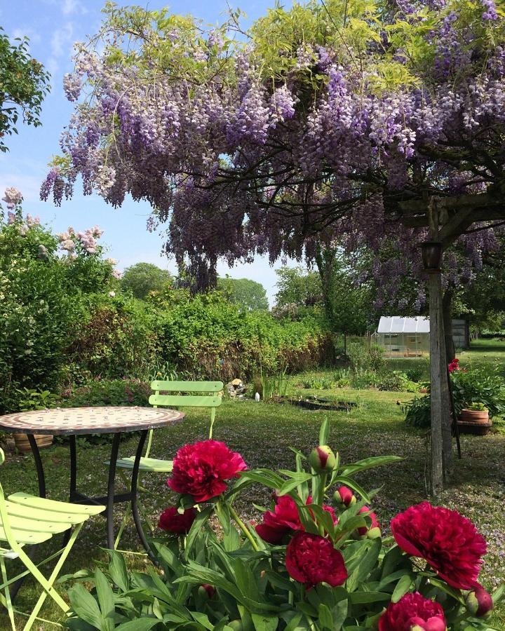 Bed and Breakfast La Pie Grièche à Lucquy Extérieur photo